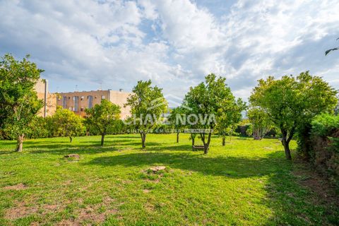 Gård i Trofa, Porto, Trofa - € 760 000 | Ref: MAI/02380 - foto 16