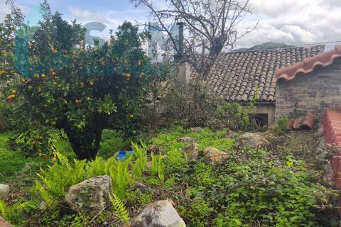 Landejendom i Gois, Coimbra, Gois - € 40.000 | Ref: SMA/SM006-25 - foto 5