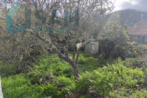 Landejendom i Gois, Coimbra, Gois - € 40.000 | Ref: SMA/SM006-25 - foto 7