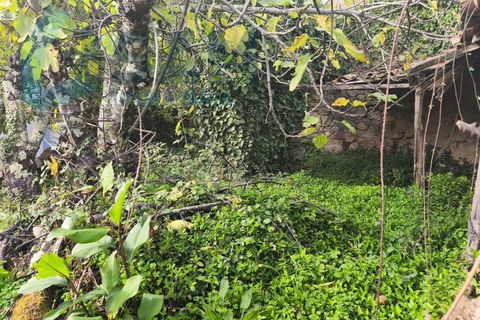Landejendom i Gois, Coimbra, Gois - € 40.000 | Ref: SMA/SM006-25 - foto 10