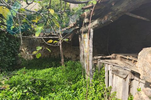 Landejendom i Gois, Coimbra, Gois - € 40.000 | Ref: SMA/SM006-25 - foto 11