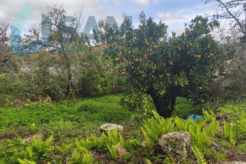 Landejendom i Gois, Coimbra, Gois - € 40.000 | Ref: SMA/SM006-25 - foto 8