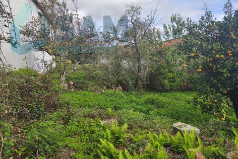 Landejendom i Gois, Coimbra, Gois - € 40.000 | Ref: SMA/SM006-25 - foto 12