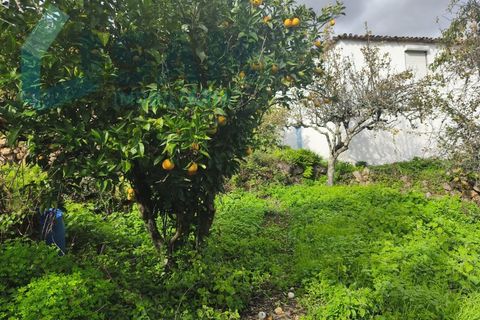 Landejendom i Gois, Coimbra, Gois - € 40.000 | Ref: SMA/SM006-25 - foto 9