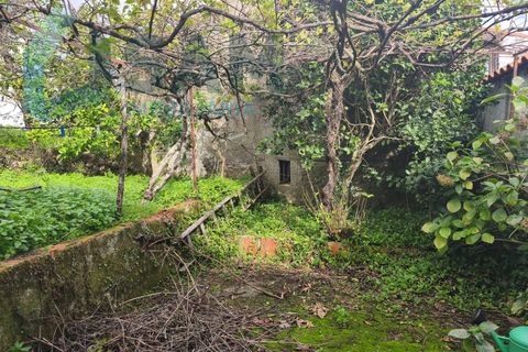 Landejendom i Gois, Coimbra, Gois - € 40.000 | Ref: SMA/SM006-25 - foto 14
