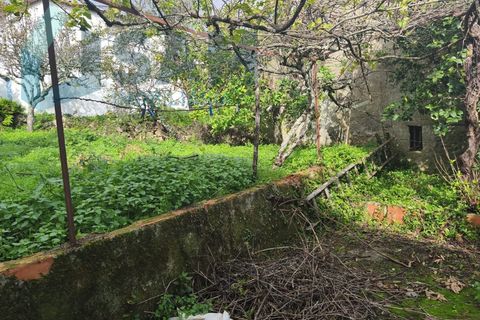 Landejendom i Gois, Coimbra, Gois - € 40.000 | Ref: SMA/SM006-25 - foto 15