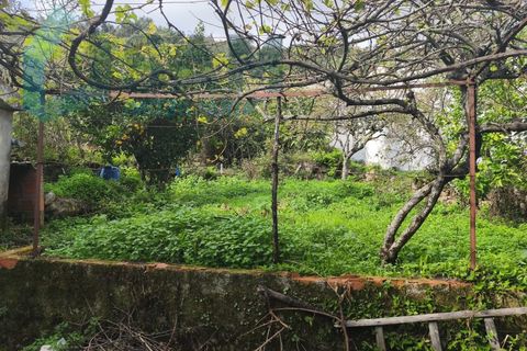 Landejendom i Gois, Coimbra, Gois - € 40.000 | Ref: SMA/SM006-25 - foto 16