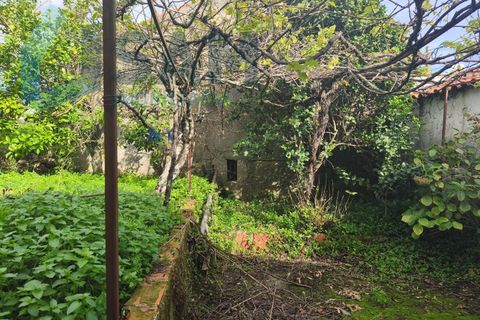 Landejendom i Gois, Coimbra, Gois - € 40.000 | Ref: SMA/SM006-25 - foto 17