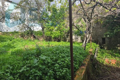 Landejendom i Gois, Coimbra, Gois - € 40.000 | Ref: SMA/SM006-25 - foto 18