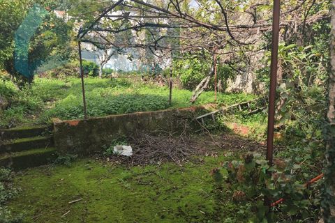 Landejendom i Gois, Coimbra, Gois - € 40.000 | Ref: SMA/SM006-25 - foto 19