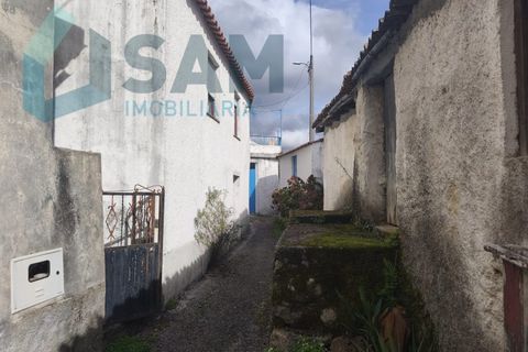 Landejendom i Gois, Coimbra, Gois - € 40.000 | Ref: SMA/SM006-25 - foto 33