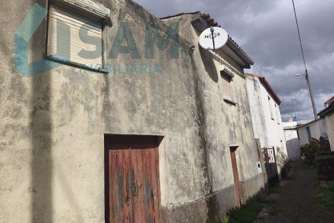 Landejendom i Gois, Coimbra, Gois - € 40.000 | Ref: SMA/SM006-25 - foto 36