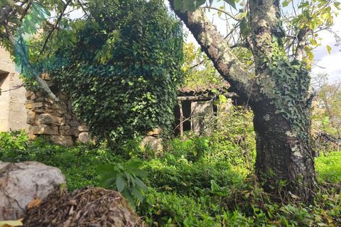 Landejendom i Gois, Coimbra, Gois - € 40.000 | Ref: SMA/SM006-25 - foto 38