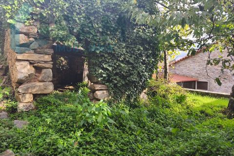 Landejendom i Gois, Coimbra, Gois - € 40.000 | Ref: SMA/SM006-25 - foto 41