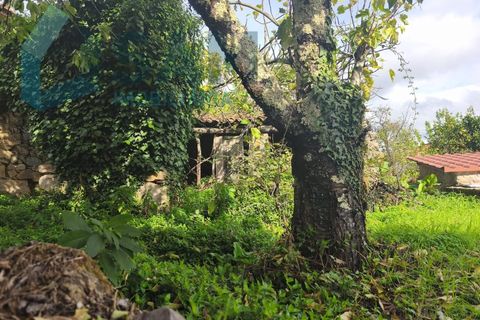 Landejendom i Gois, Coimbra, Gois - € 40.000 | Ref: SMA/SM006-25 - foto 45