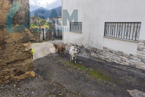 Landejendom i Gois, Coimbra, Gois - € 40.000 | Ref: SMA/SM006-25 - foto 46