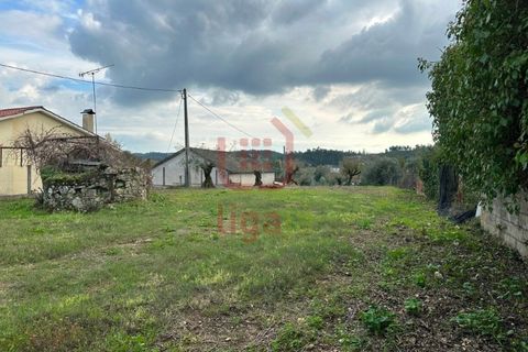 Helårsgrund i Ourem, Santarem, Ourem - € 99.500 | Ref: 1350 - foto 3