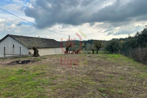 Helårsgrund i Ourem, Santarem, Ourem - € 99.500 | Ref: 1350 - foto 4