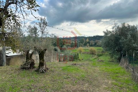 Helårsgrund i Ourem, Santarem, Ourem - € 99.500 | Ref: 1350 - foto 5