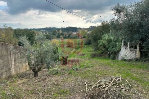 Helårsgrund i Ourem, Santarem, Ourem - € 99.500 | Ref: 1350 - foto 6