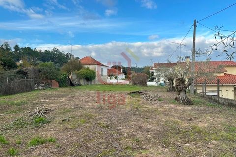 Helårsgrund i Ourem, Santarem, Ourem - € 99.500 | Ref: 1350 - foto 7