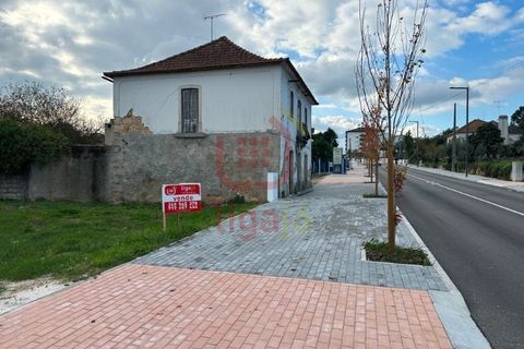 Helårsgrund i Ourem, Santarem, Ourem - € 99.500 | Ref: 1350 - foto 10
