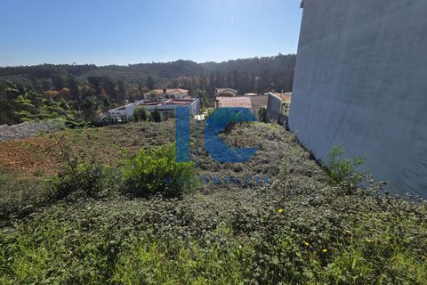 Helårsgrund i Agueda, Aveiro, Agueda - € 35.000 | Ref: 20251100107 - foto 5