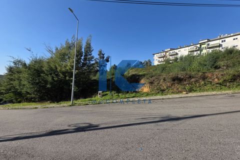 Helårsgrund i Agueda, Aveiro, Agueda - € 480.000 | Ref: 20251100102 - foto 4