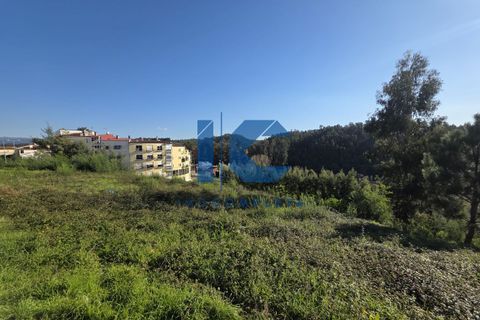 Helårsgrund i Agueda, Aveiro, Agueda - € 480.000 | Ref: 20251100102 - foto 5