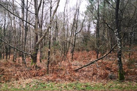 Terra a Peaule, Morbihan, Peaule - € 7.500 | Ref: 84748 - foto 2
