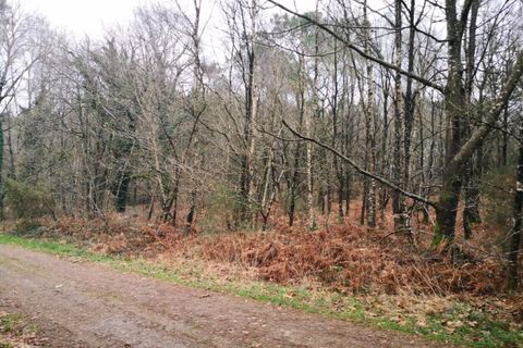 Terra a Peaule, Morbihan, Peaule - € 7.500 | Ref: 84748 - foto 3
