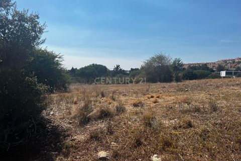 Helårsgrund i Queluz, Lisbon, Queluz - € 950.000 | Ref: C0364-03660 - foto 14