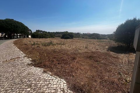 Helårsgrund i Queluz, Lisbon, Queluz - € 950.000 | Ref: C0364-03660 - foto 16