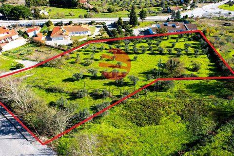 Terra a Celorico da Beira, Guarda, Celorico da Beira - € 45.000 | Ref: 521/MDA - foto 2