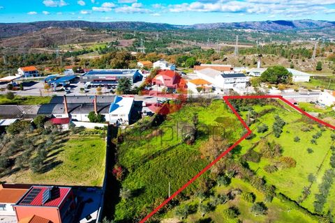 Terra a Celorico da Beira, Guarda, Celorico da Beira - € 45.000 | Ref: 521/MDA - foto 3