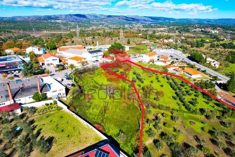 Terra a Celorico da Beira, Guarda, Celorico da Beira - € 45.000 | Ref: 521/MDA - foto 4