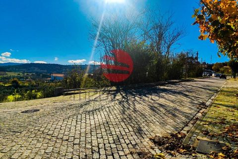 Terra a Celorico da Beira, Guarda, Celorico da Beira - € 45.000 | Ref: 521/MDA - foto 5