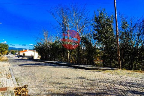 Terra a Celorico da Beira, Guarda, Celorico da Beira - € 45.000 | Ref: 521/MDA - foto 6