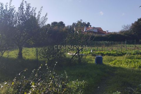 Helårsgrund i Gondomar, Porto, Gondomar - € 80.000 | Ref: C0457-00754 - foto 2