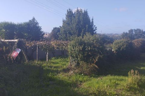 Helårsgrund i Gondomar, Porto, Gondomar - € 80.000 | Ref: C0457-00754 - foto 3