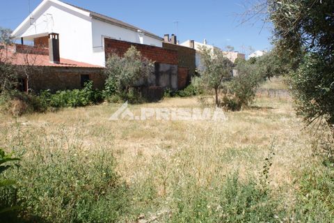 Rækkehus i Fundao, Castelo Branco, Fundao - € 80.000 | Ref: PP4585 - foto 30