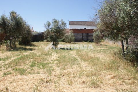 Rækkehus i Fundao, Castelo Branco, Fundao - € 80.000 | Ref: PP4585 - foto 37