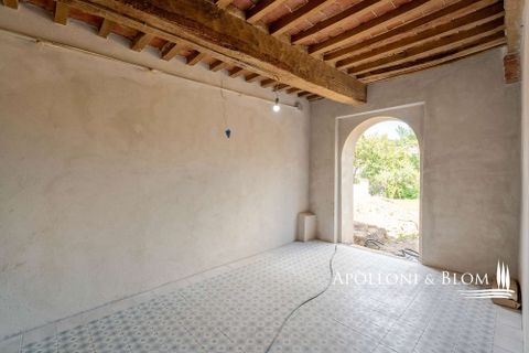 Villa i Sinalunga, Siena, Sinalunga - € 790.000 | Ref: SIN3103-689346 - foto 31