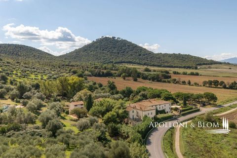 Villa a Paciano, Perugia, Paciano - € 3.900.000 | Ref: PAN3155-689563 - foto 13
