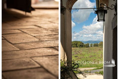 Villa a Paciano, Perugia, Paciano - € 3.900.000 | Ref: PAN3155-689563 - foto 23
