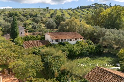 Villa a Paciano, Perugia, Paciano - € 3.900.000 | Ref: PAN3155-689563 - foto 28
