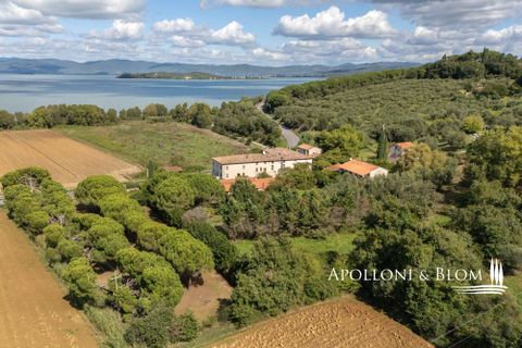 Villa a Paciano, Perugia, Paciano - € 3.900.000 | Ref: PAN3155-689563 - foto 29