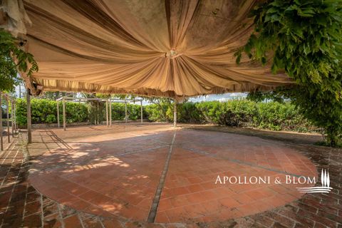 Villa a Paciano, Perugia, Paciano - € 3.900.000 | Ref: PAN3155-689563 - foto 30