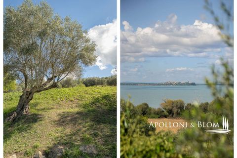 Villa a Paciano, Perugia, Paciano - € 3.900.000 | Ref: PAN3155-689563 - foto 46