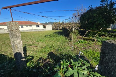 Terra a Bela, Viana do Castelo, Bela - € 60.000 | Ref: AVV-002-023 - foto 3